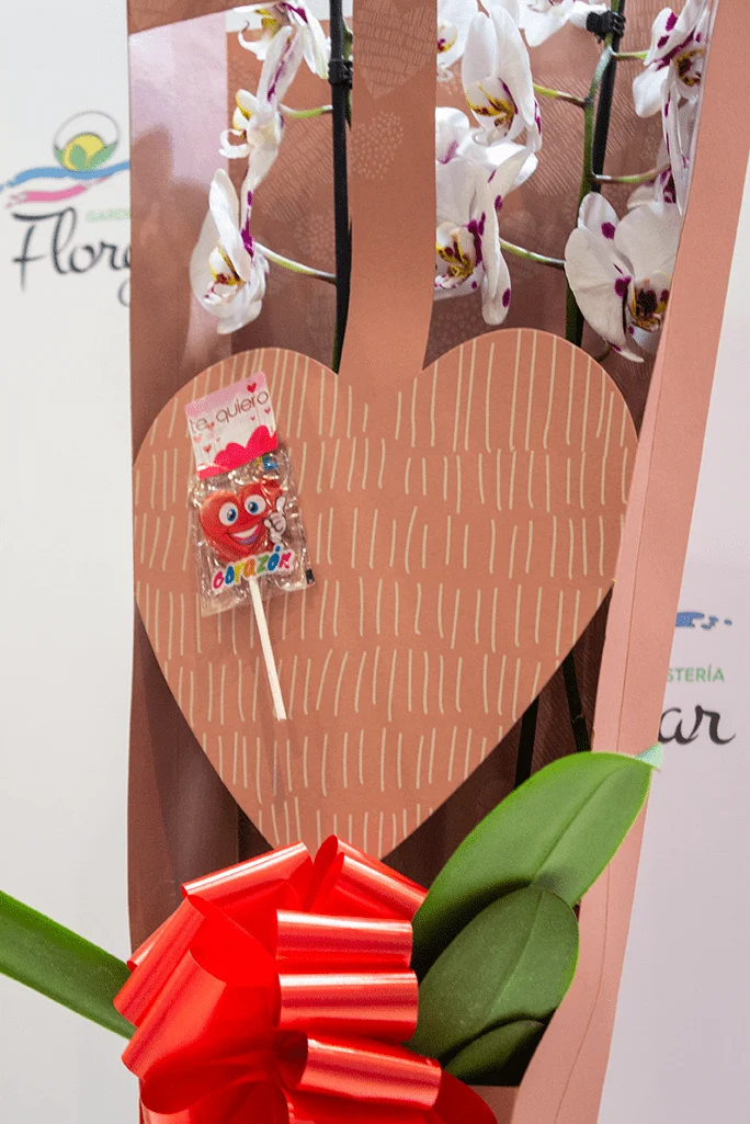 OrquideaBox – Orchid gift box - Image 3