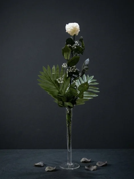 rosa-de-condolencia-preservadanatural_flores_funerarias_coronas_condolencias_tanatorio_velez_malaga_nerja_torrox_parcemasa_axarquia_01