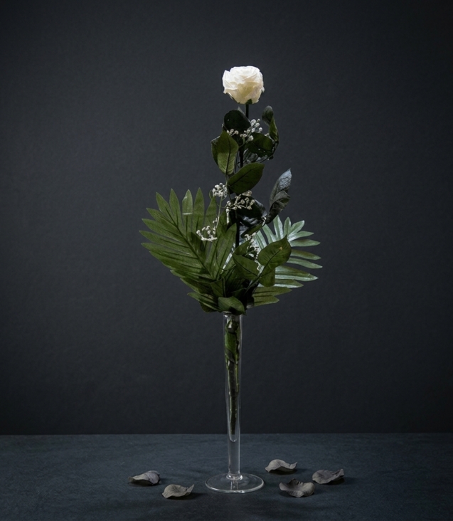 rosa-de-condolencia-preservadanatural_flores_funerarias_coronas_condolencias_tanatorio_velez_malaga_nerja_torrox_parcemasa_axarquia_01
