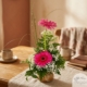 agatha_floristeria_velez_malaga_flores_y_plantas_online_envio_a_la_axarquia_ramos_de_flores_a_domicilio_02