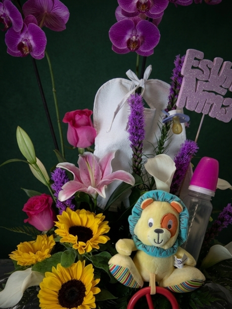 centro-bebe-3_floristeria_velez_malaga_flores_y_plantas_online_envio_a_la_axarquia_ramos_de_flores_a_domicilio_01