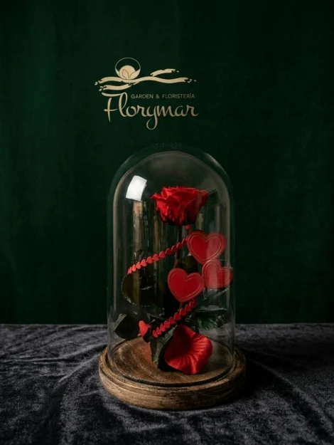 cúpula-eterna_floristeria_velez_malaga_flores_y_plantas_online_envio_a_la_axarquia_ramos_de_flores_a_domicilio_01