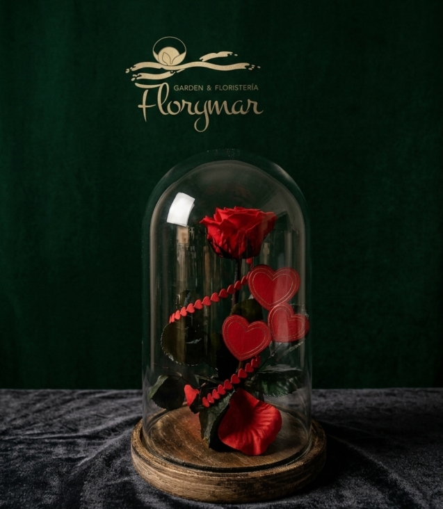 cúpula-eterna_floristeria_velez_malaga_flores_y_plantas_online_envio_a_la_axarquia_ramos_de_flores_a_domicilio_01