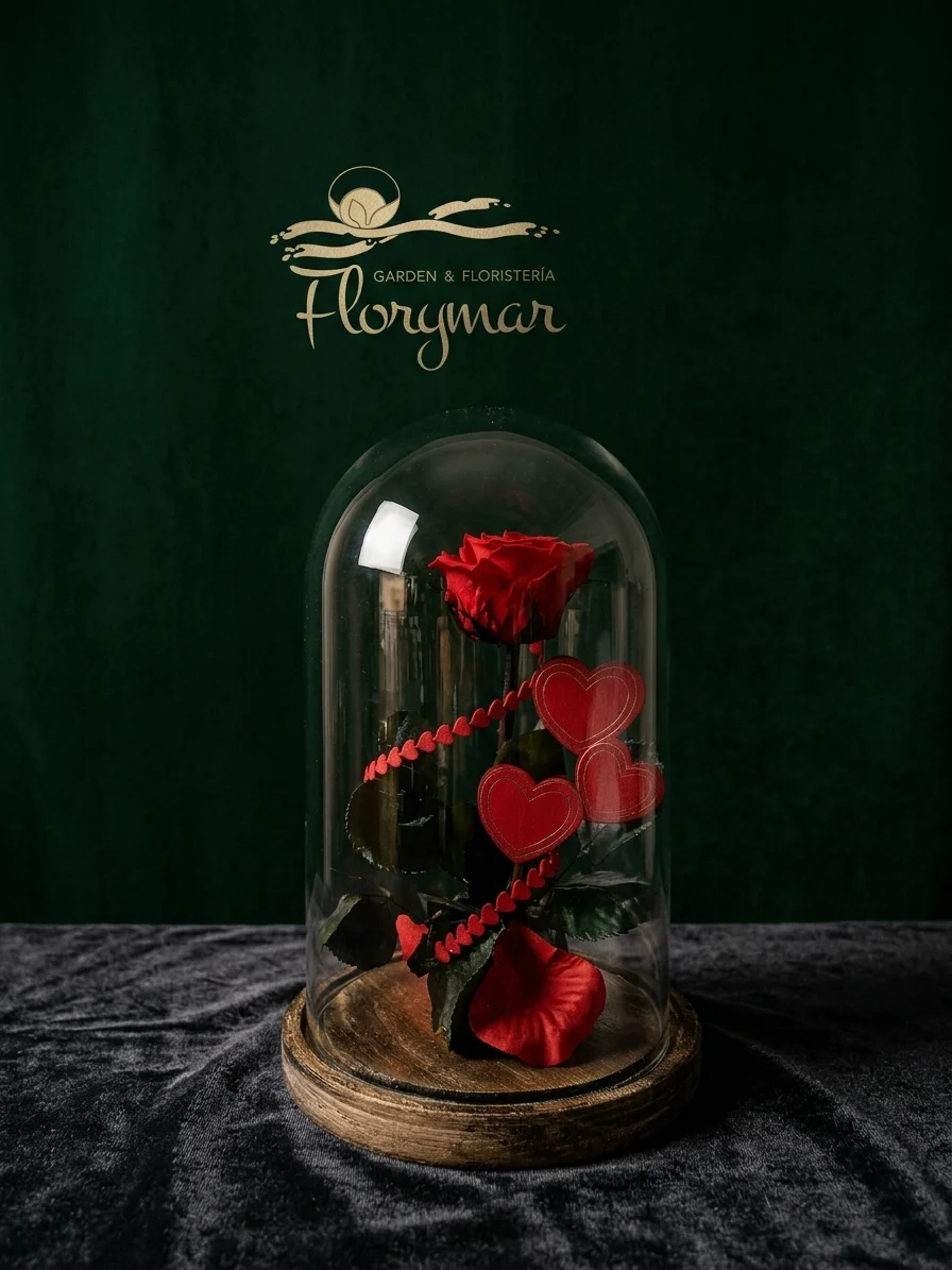 Cúpula Eterna – Preserved rose under glass - Image 2