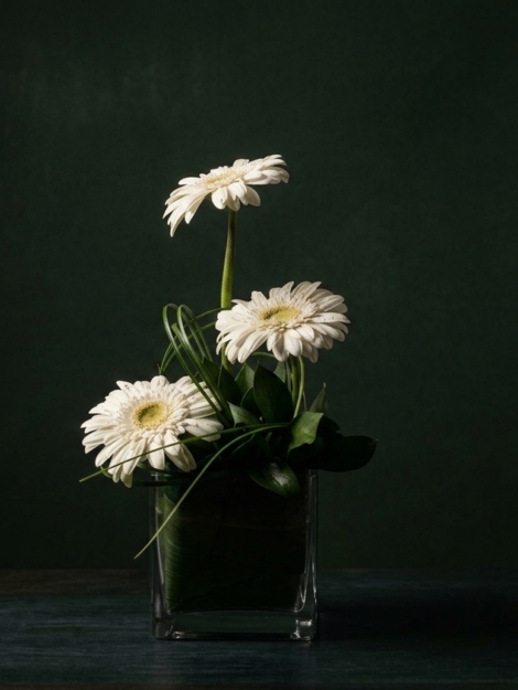 deseo_floristeria_velez_malaga_flores_y_plantas_online_envio_a_la_axarquia_ramos_de_flores_a_domicilio_01