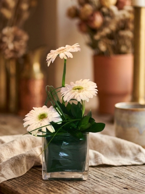 deseo_floristeria_velez_malaga_flores_y_plantas_online_envio_a_la_axarquia_ramos_de_flores_a_domicilio_02