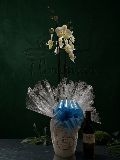 orquídea-cubremacetas-de-cerámica-botellita-beronia-rioja-175cl_floristeria_velez_malaga_flores_y_plantas_online_envio_a_la_axarquia_ramos_de_flores_a_domicilio_01
