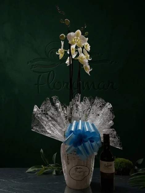 orquídea-cubremacetas-de-cerámica-botellita-beronia-rioja-175cl_floristeria_velez_malaga_flores_y_plantas_online_envio_a_la_axarquia_ramos_de_flores_a_domicilio_01