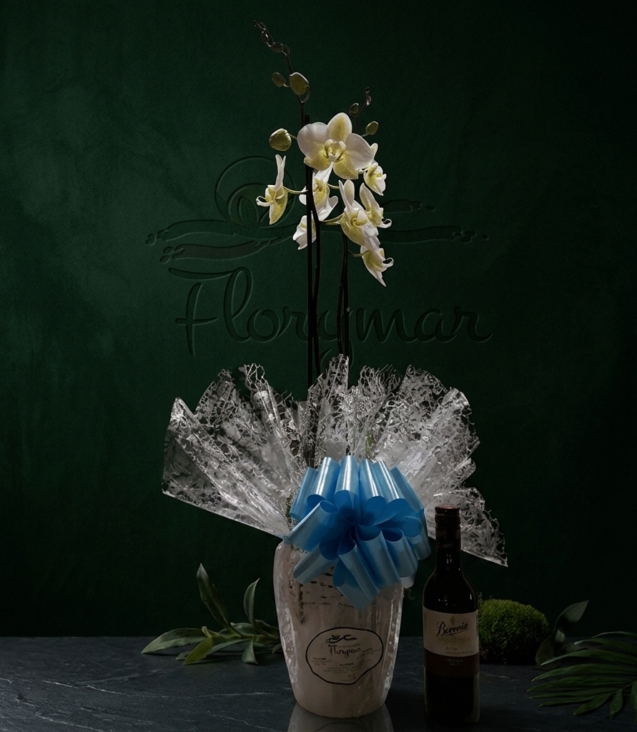 orquídea-cubremacetas-de-cerámica-botellita-beronia-rioja-175cl_floristeria_velez_malaga_flores_y_plantas_online_envio_a_la_axarquia_ramos_de_flores_a_domicilio_01