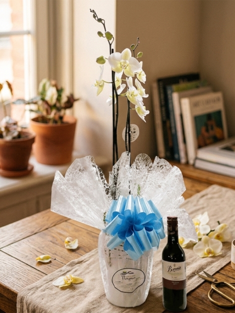orquídea-cubremacetas-de-cerámica-botellita-beronia-rioja-175cl_floristeria_velez_malaga_flores_y_plantas_online_envio_a_la_axarquia_ramos_de_flores_a_domicilio_02