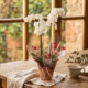 orquídea-love_floristeria_velez_malaga_flores_y_plantas_online_envio_a_la_axarquia_ramos_de_flores_a_domicilio_02