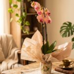 orquídea-naranja-cubremaceta-de-cerámica_floristeria_velez_malaga_flores_y_plantas_online_envio_a_la_axarquia_ramos_de_flores_a_domicilio_02