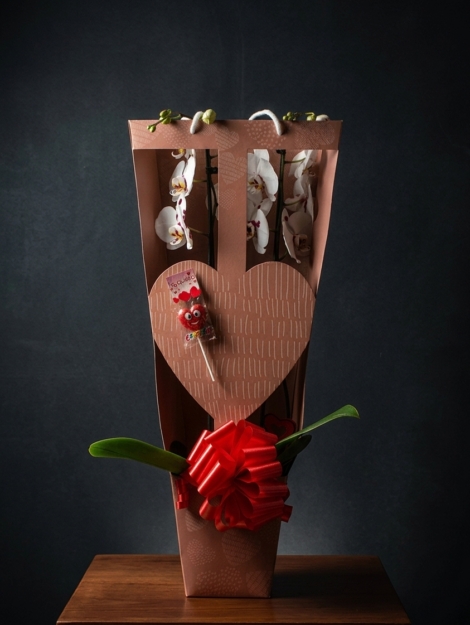 orquideabox_floristeria_velez_malaga_flores_y_plantas_online_envio_a_la_axarquia_ramos_de_flores_a_domicilio_01
