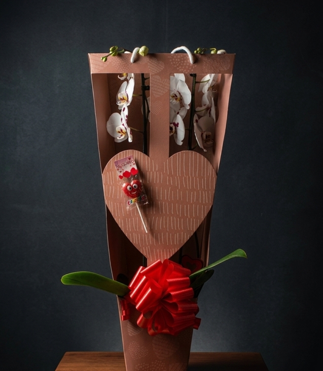 orquideabox_floristeria_velez_malaga_flores_y_plantas_online_envio_a_la_axarquia_ramos_de_flores_a_domicilio_01
