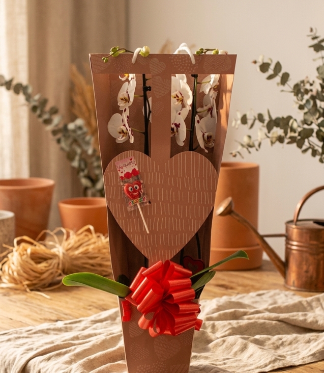 orquideabox_floristeria_velez_malaga_flores_y_plantas_online_envio_a_la_axarquia_ramos_de_flores_a_domicilio_02