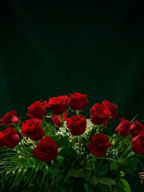ramo-de-18-rosas_floristeria_velez_malaga_flores_y_plantas_online_envio_a_la_axarquia_ramos_de_flores_a_domicilio_01