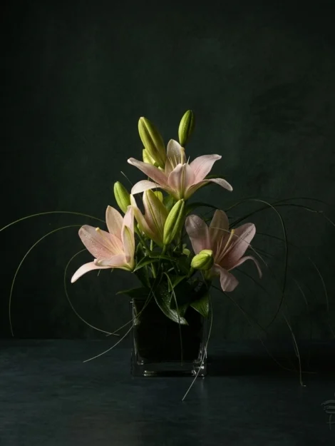 sensible_floristeria_velez_malaga_flores_y_plantas_online_envio_a_la_axarquia_ramos_de_flores_a_domicilio_01